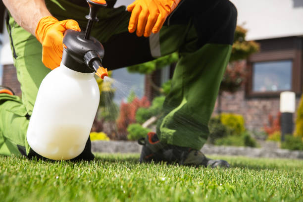 Best Pest Inspection Near Me  in Goodland, KS