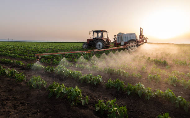 Best Pest Control Near Me  in Goodland, KS