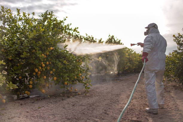 Best Wildlife Control Services  in Goodland, KS