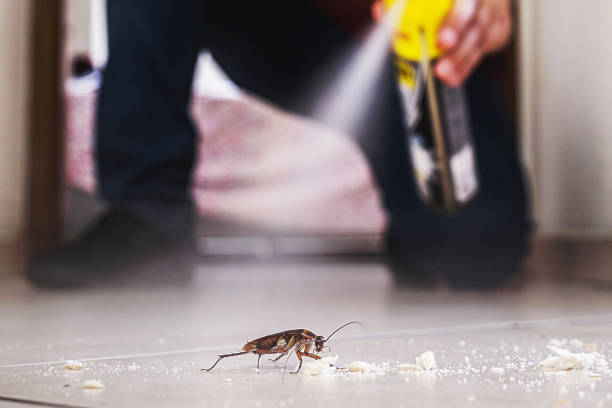 Best Pest Control Near Me in Goodland, KS